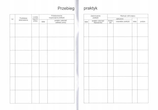 Jak wypełnić dziennik praktyk opiekun w żłobku - uniknij błędów