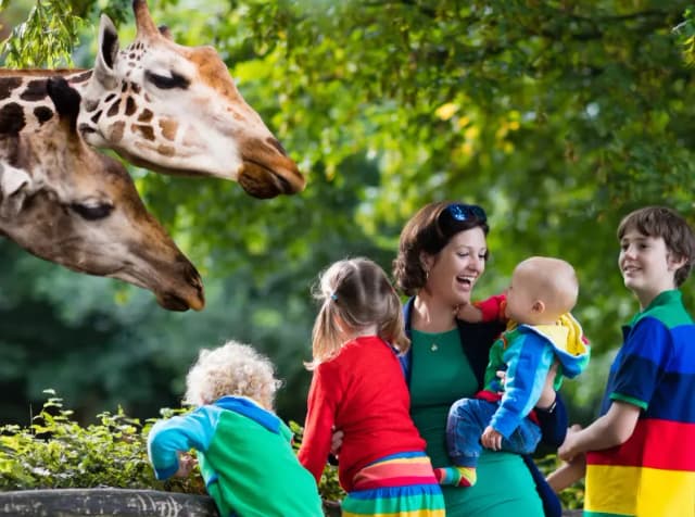 Kiedy z dzieckiem do zoo? Odpowiedni wiek i ważne wskazówki